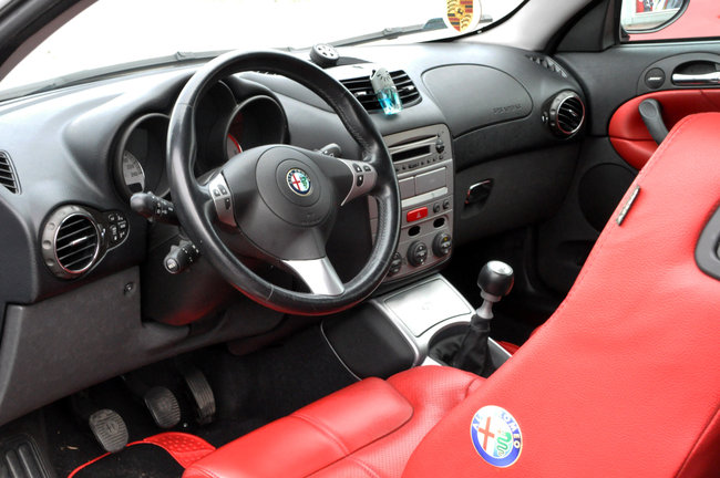 Alfy na ulicach Świecia