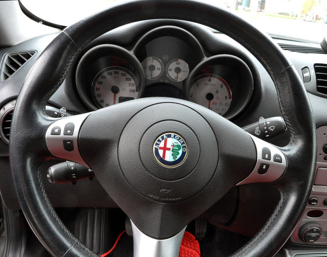 Alfy na ulicach Świecia