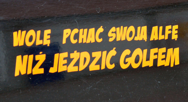 Alfy na ulicach Świecia