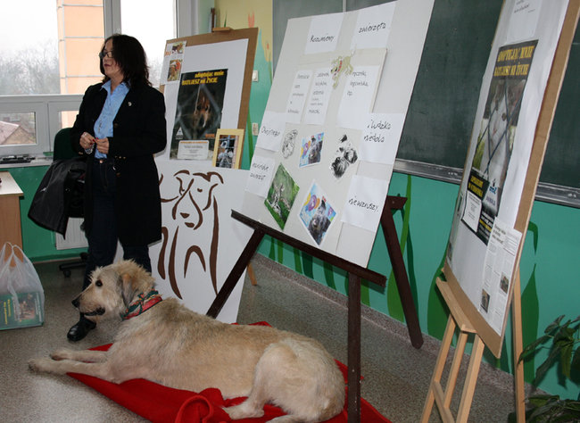 By kochać ludzi, trzeba umieć kochać zwierzęta