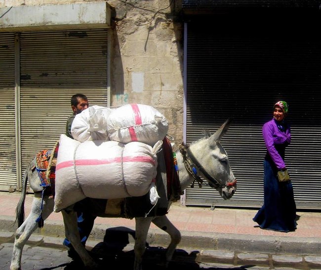 Pół roku w innym kraju