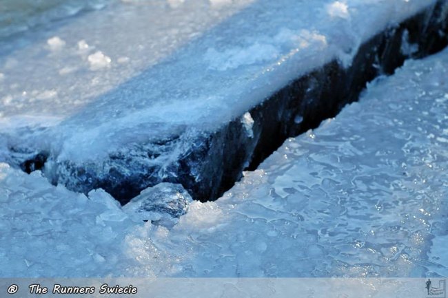 Kąpią się w przeręblu i nie chorują