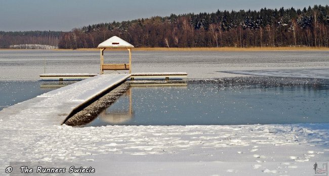 Kąpią się w przeręblu i nie chorują