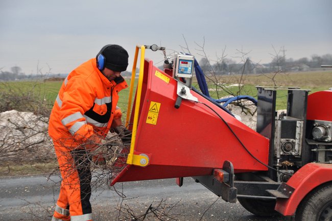 Przycinają konary drzew