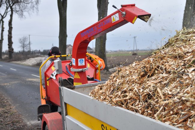 Przycinają konary drzew