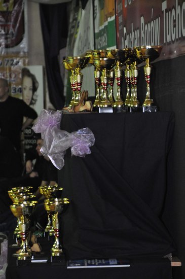 Turniej tańca o Puchar Borów Tucholskich