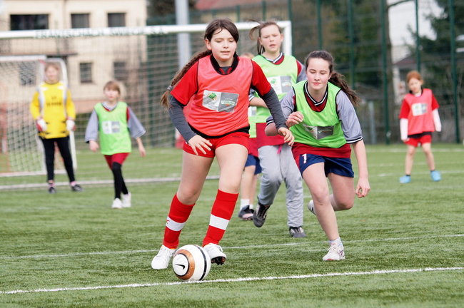 Młode Wilki nie wyszły z grupy