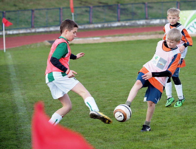 Młode Wilki nie wyszły z grupy