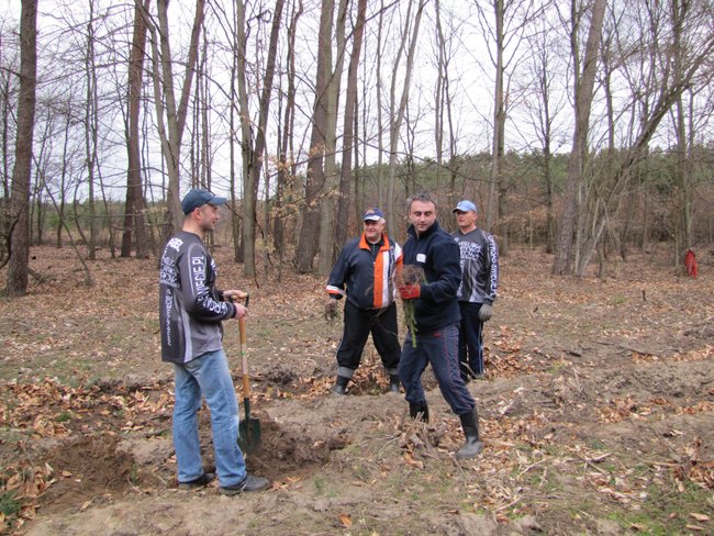 Offroadowcy sadzili las