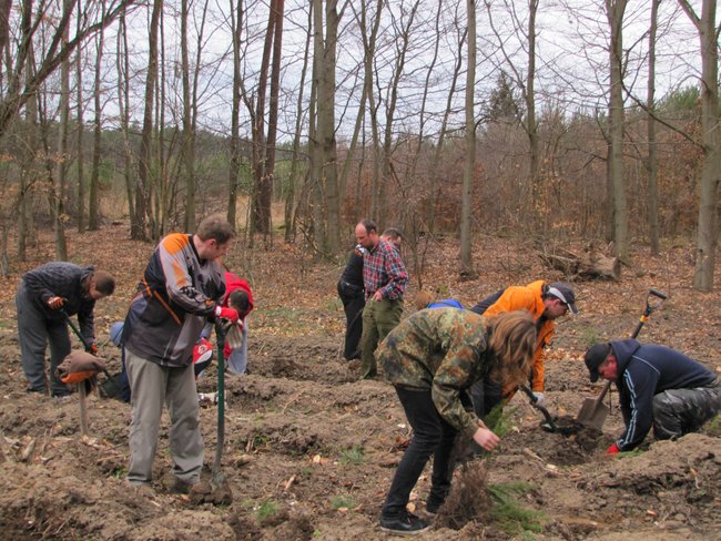 Offroadowcy sadzili las