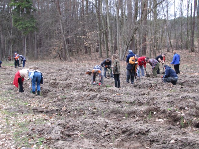 Offroadowcy sadzili las