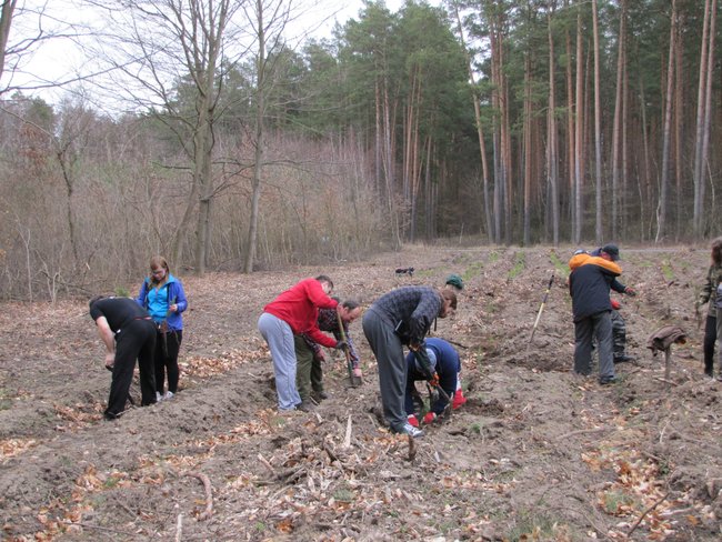 Offroadowcy sadzili las