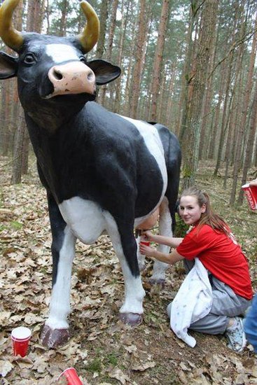 Młodzi obcokrajowcy na ulicach Świecia