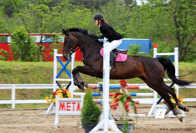 Zawody skokowe w Kwiekach