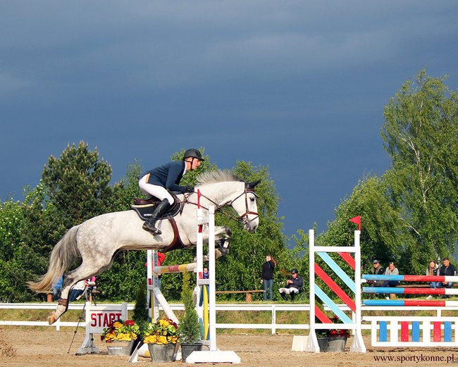 Zawody skokowe w Kwiekach