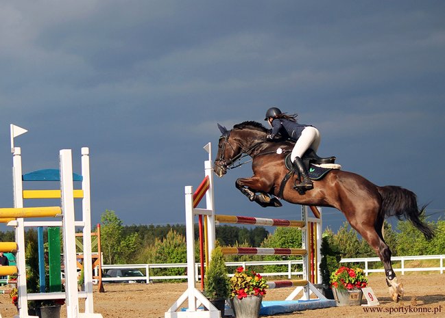 Zawody skokowe w Kwiekach