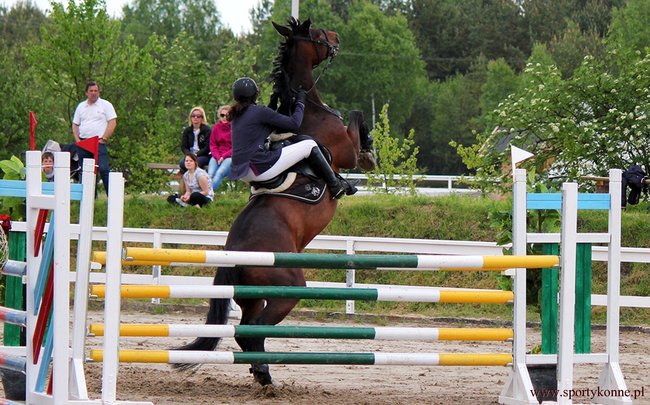 Zawody skokowe w Kwiekach