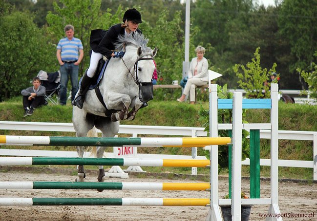 Zawody skokowe w Kwiekach