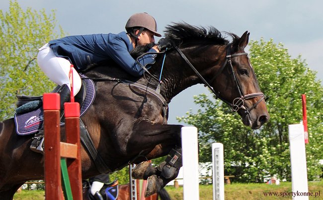 Zawody skokowe w Kwiekach