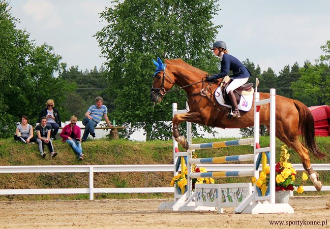 Zawody skokowe w Kwiekach