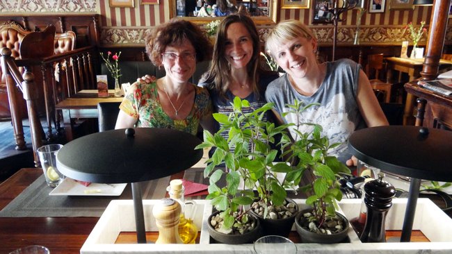 Międzynarodowa  wymiana w II LO