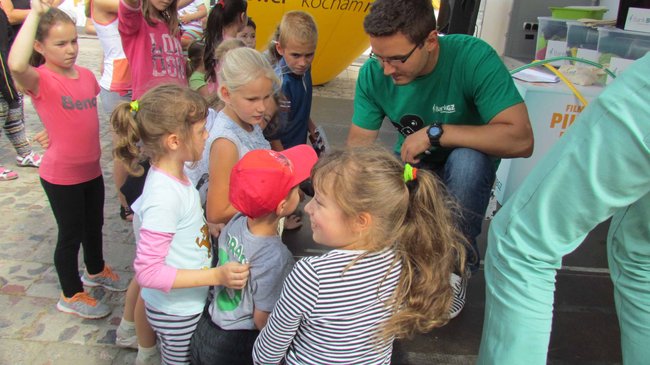 Filmowy piknik BGŻ