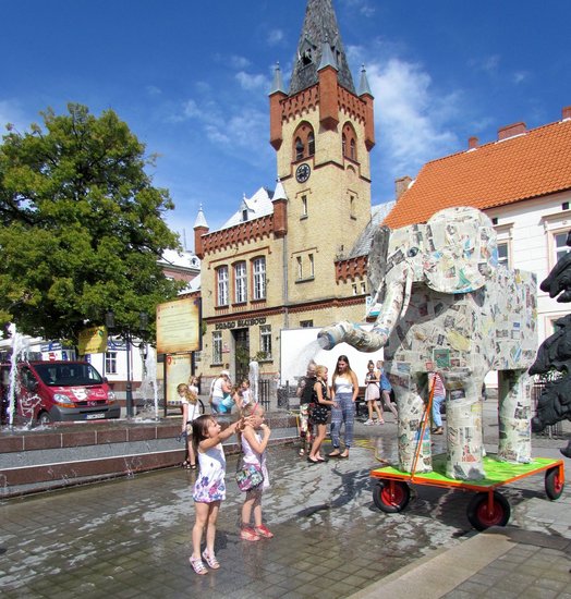 Co robiły afrykańskie zwierzęta na rynku?
