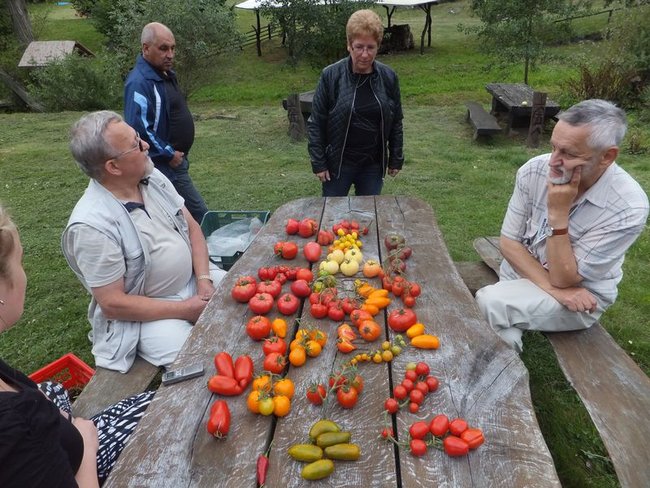 Festiwal Smaku - wybrali Smak Roku