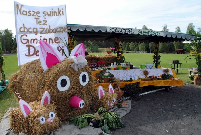 Osie dziękowało za plony
