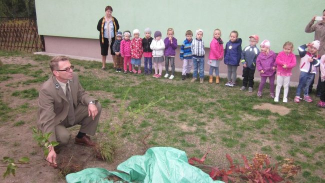 Święto drzewa