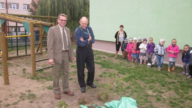 Święto drzewa