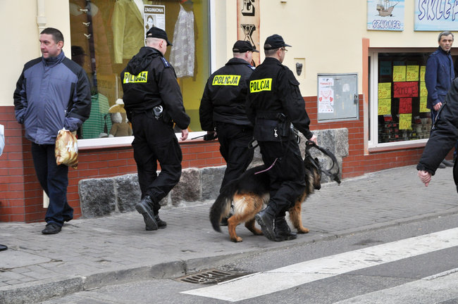 Policjanci z psami znowu szukają zaginionej świecianki