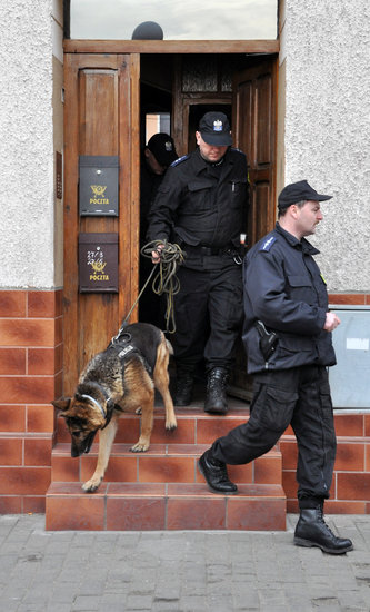 Policjanci z psami znowu szukają zaginionej świecianki