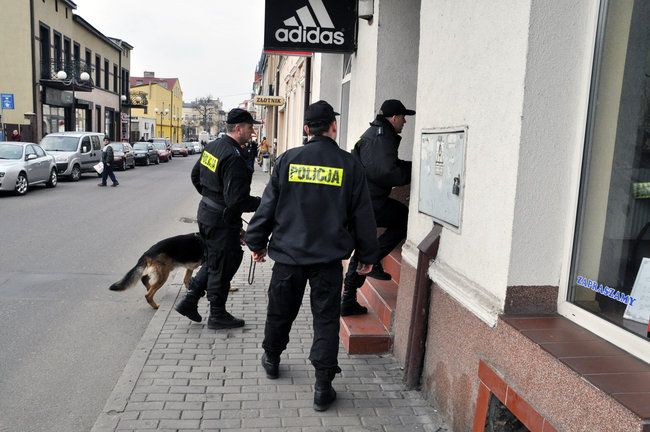 Policjanci z psami znowu szukają zaginionej świecianki