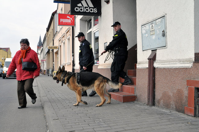 Policjanci z psami znowu szukają zaginionej świecianki