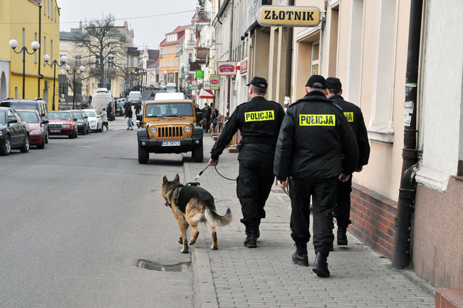 Policjanci z psami znowu szukają zaginionej świecianki