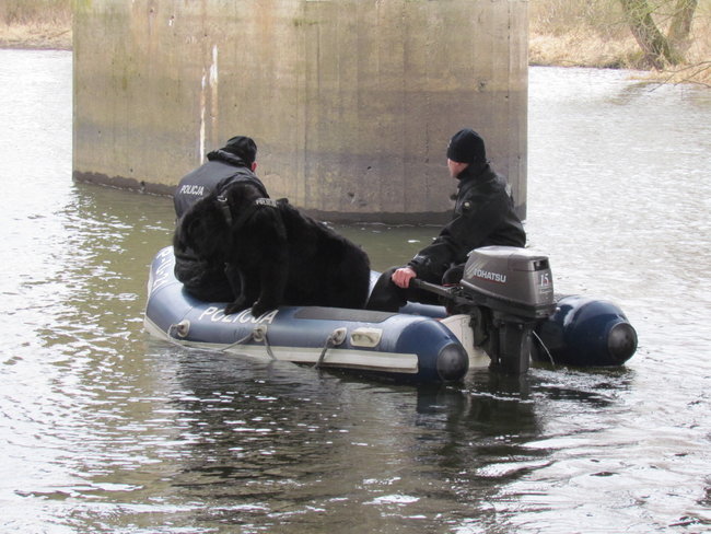 Policjanci z psami sprawdzają rzeki