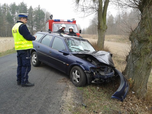 Vectrą w drzewo