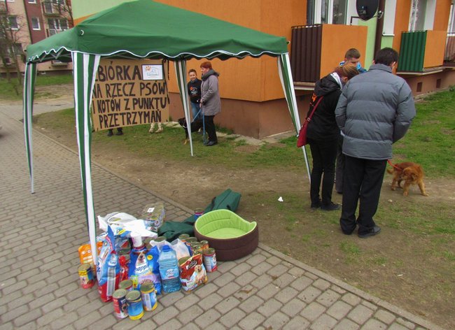 Ponad 30 nowych dawców