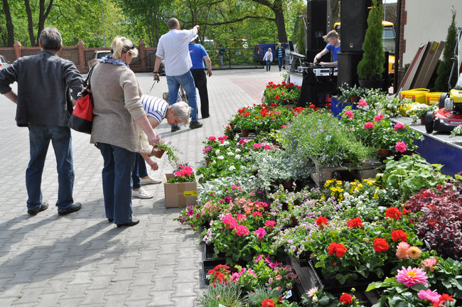 Świecie ma drugi sklep ogrodniczy