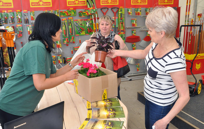 Świecie ma drugi sklep ogrodniczy