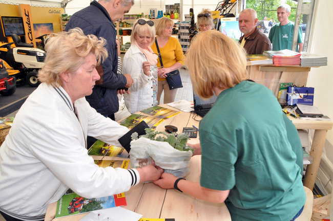 Świecie ma drugi sklep ogrodniczy
