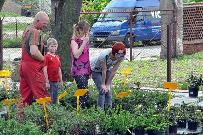 Świecie ma drugi sklep ogrodniczy