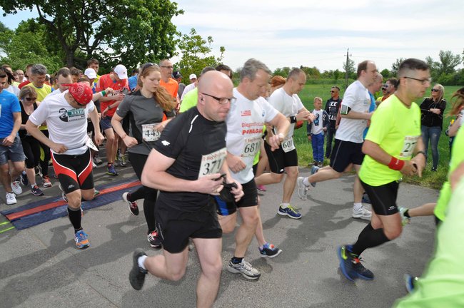 II Bieg Rycerski - ZDJĘCIA  ze startu