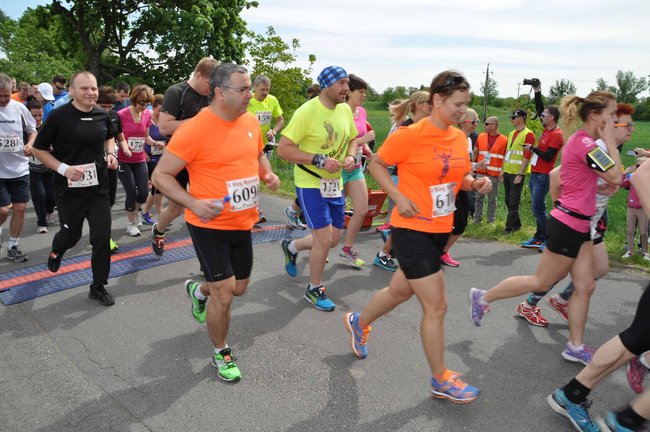 II Bieg Rycerski - ZDJĘCIA  ze startu