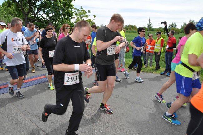 II Bieg Rycerski - ZDJĘCIA  ze startu