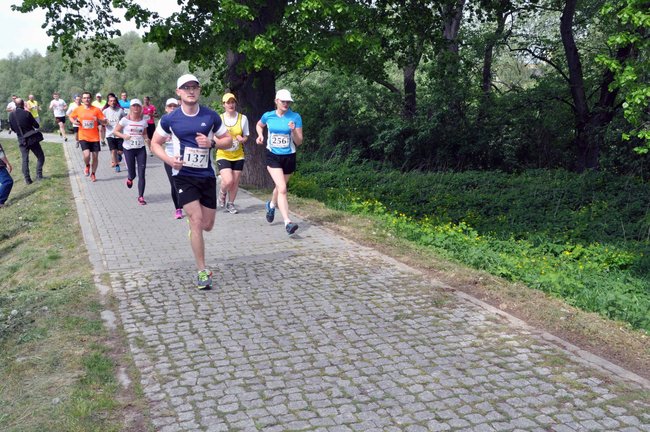 Biegacze na pierwszym okrążeniu ? ZDJĘCIA