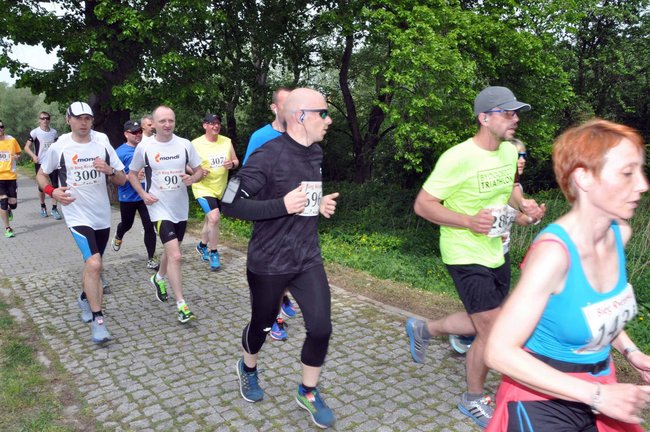 Biegacze na pierwszym okrążeniu ? ZDJĘCIA