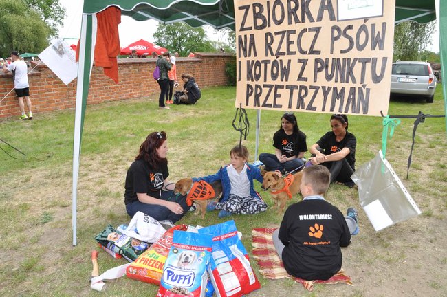 Na mecie II Biegu Rycerskiego - ZDJĘCIA