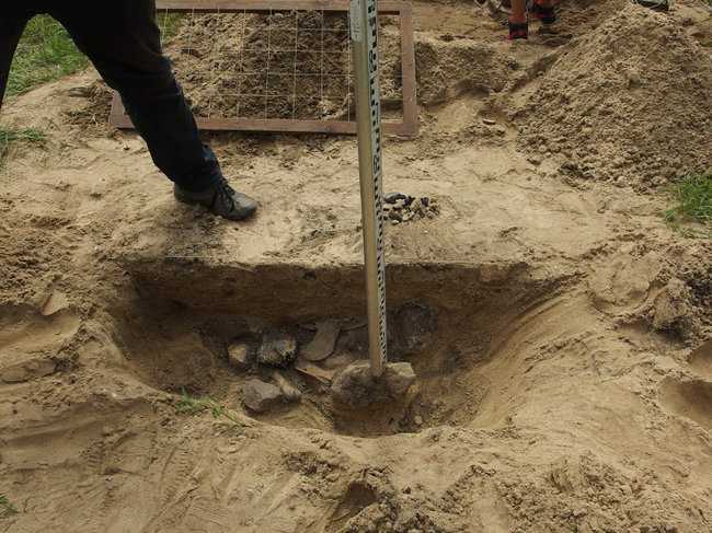 Festyn z ?Pszczółką Mają?